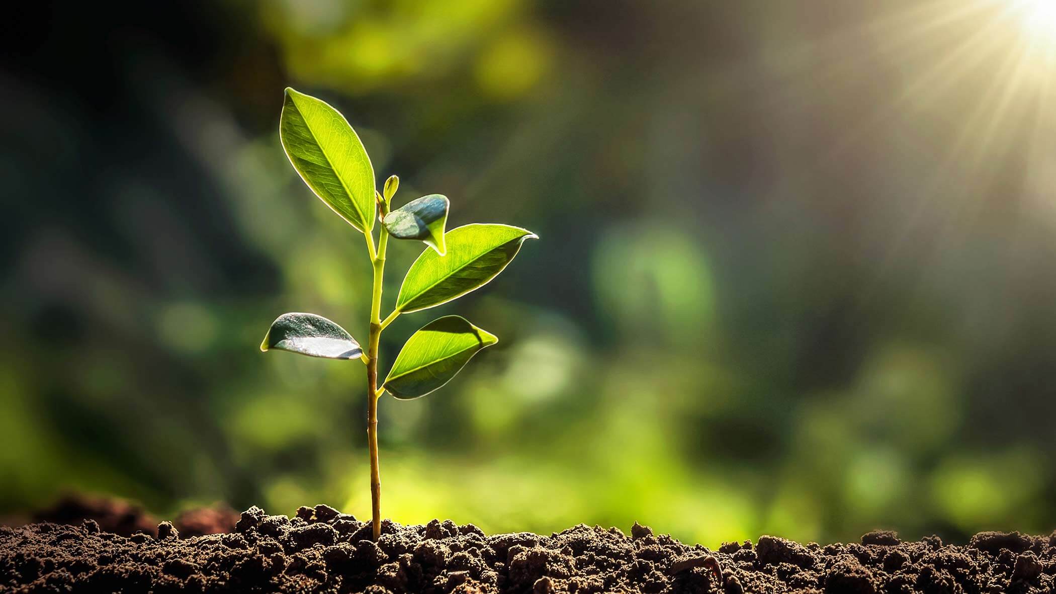 Welche Vorteile bietet nachhaltiges Reisen?